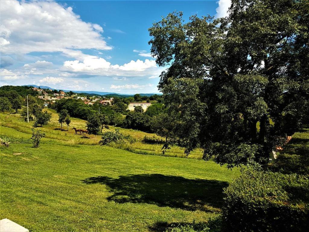 Haus Delma Villa Brajkovici  Exteriör bild